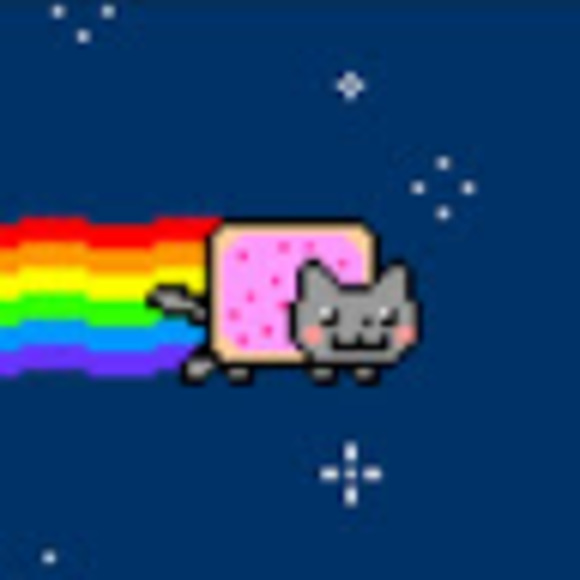space_cat